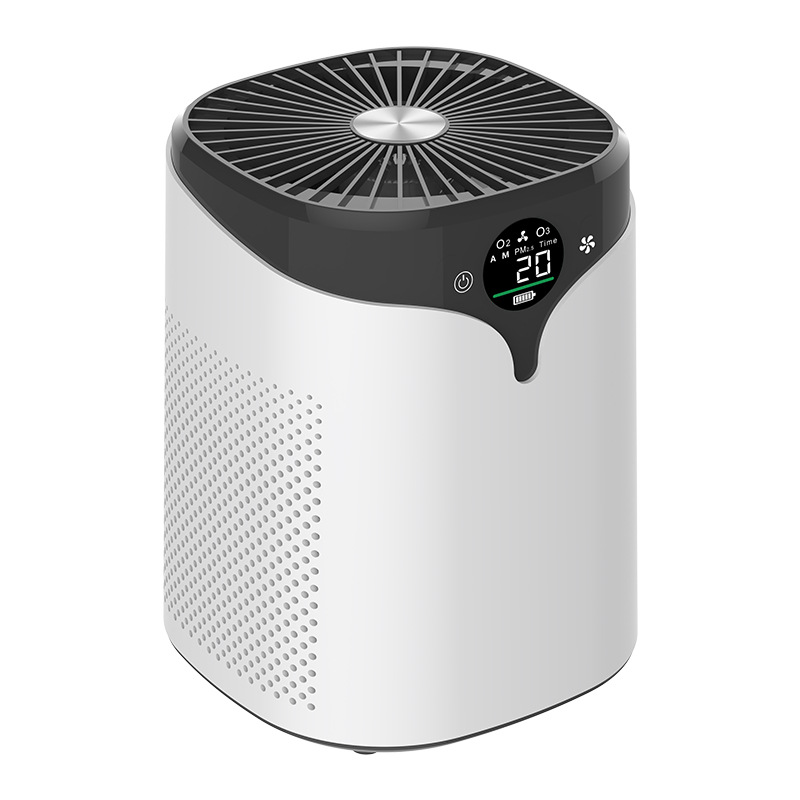 Negative ion air purifier, pet hair removal air purifier